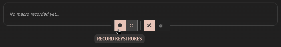 recording the keystrokes in a macro
