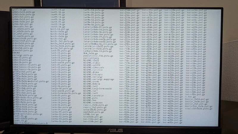 screenshot of ls on Linux