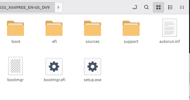 Mounted Windows disk image