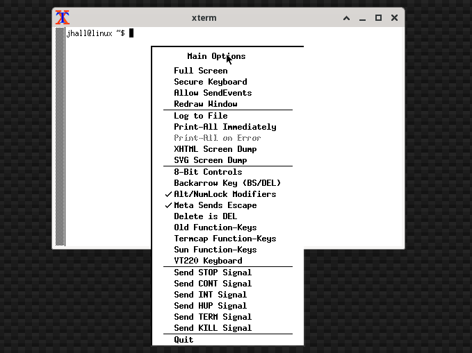 a menu displayed in black and white over a plain terminal
