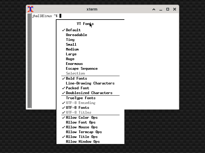 a menu displayed in black and white over a plain terminal