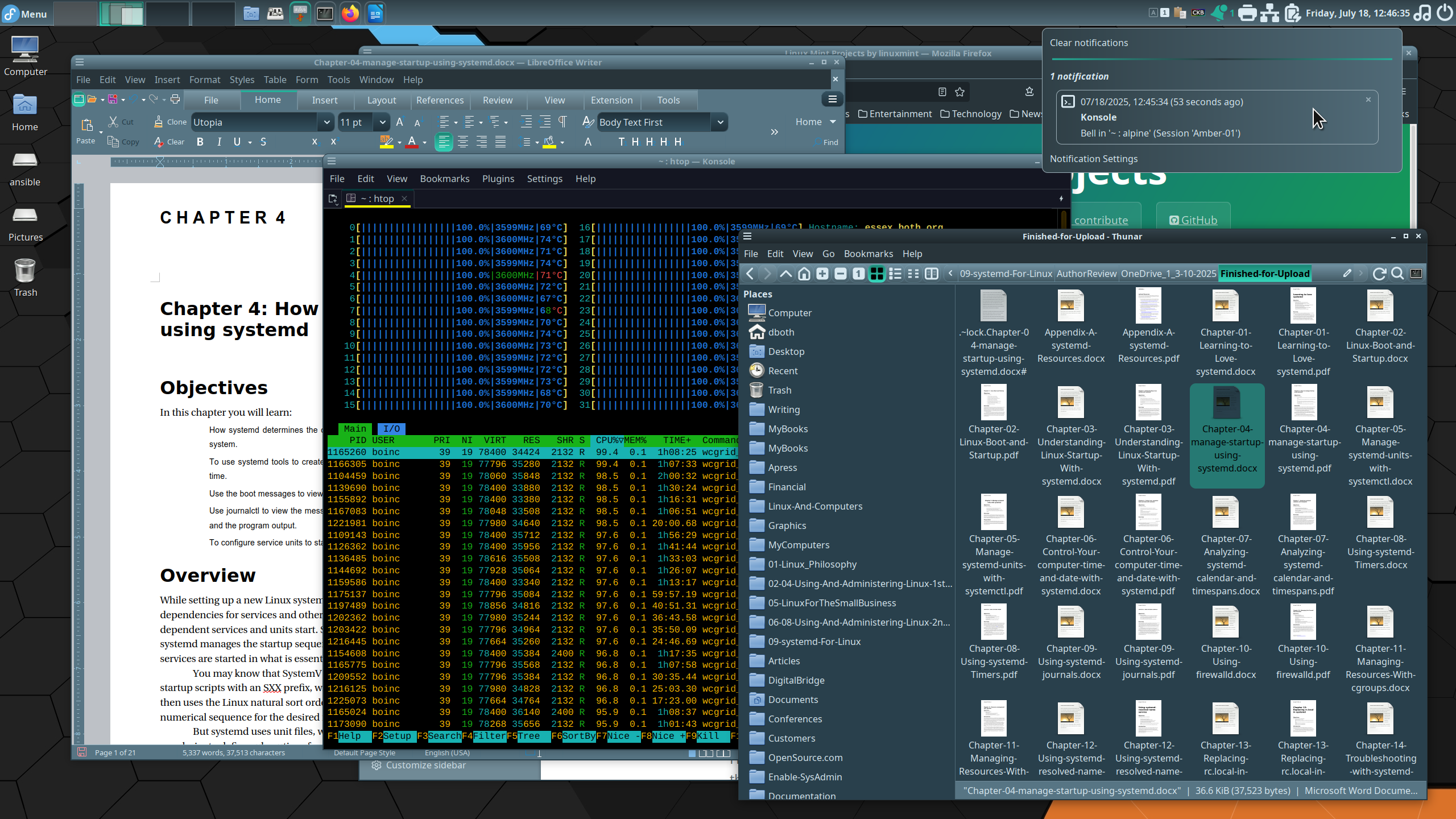 Application windows on Cinnamon desktop